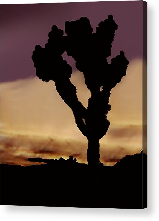  Acrylic Print featuring the photograph Joshua Tree Silo At Sunset by Curtis J Neeley Jr
