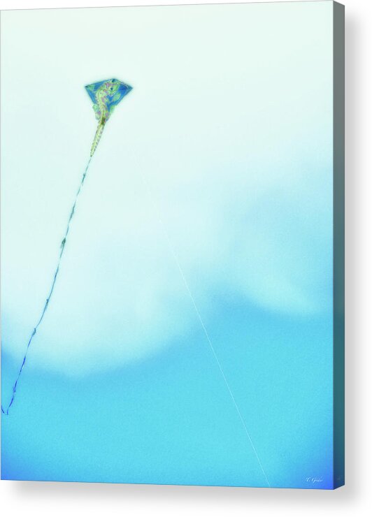 Kite Acrylic Print featuring the photograph Kite by Tony Grider