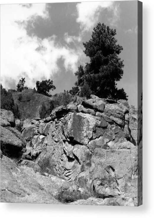 Landscape Acrylic Print featuring the photograph Pinnacle Pine by Allan McConnell