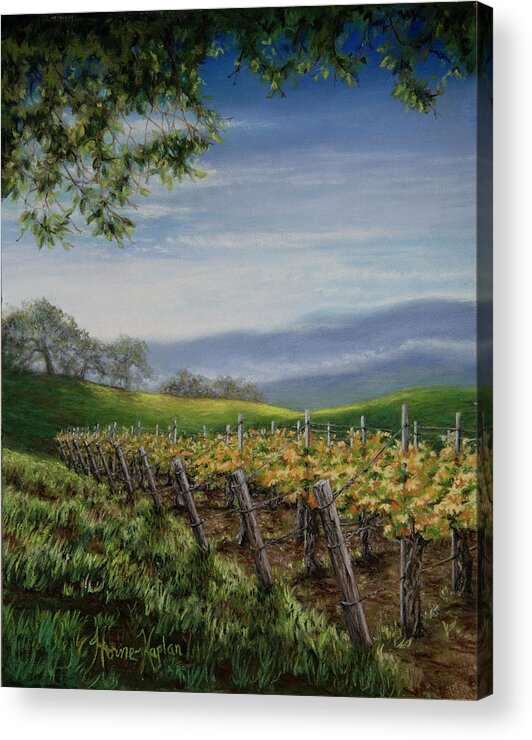 Vineyards Acrylic Print featuring the pastel Private Selection by Denise Horne-Kaplan