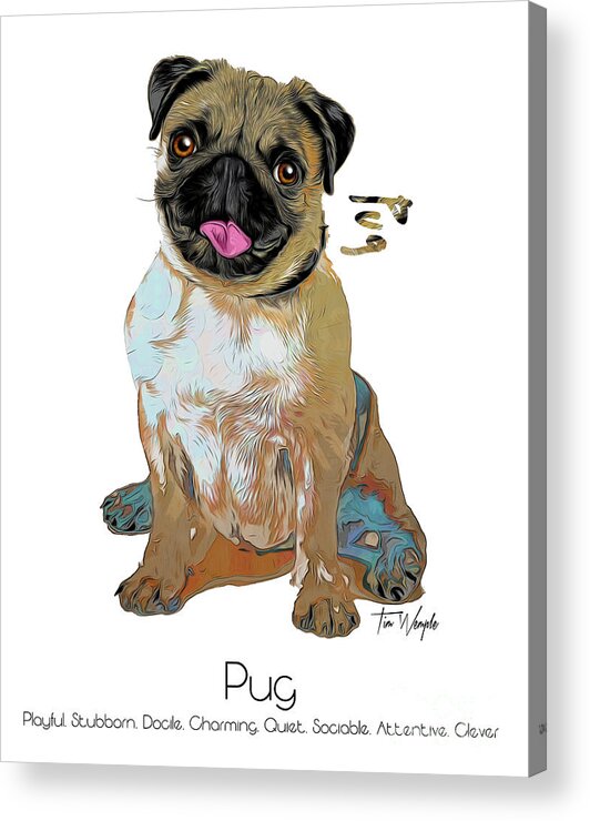 Pug Acrylic Print featuring the digital art Pug Pop Art by Tim Wemple