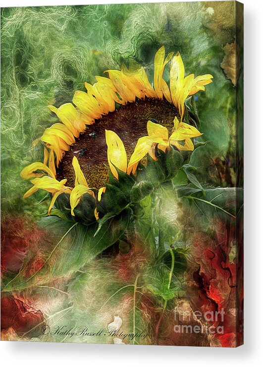  Acrylic Print featuring the digital art Sunflower Dreams by Kathy Russell