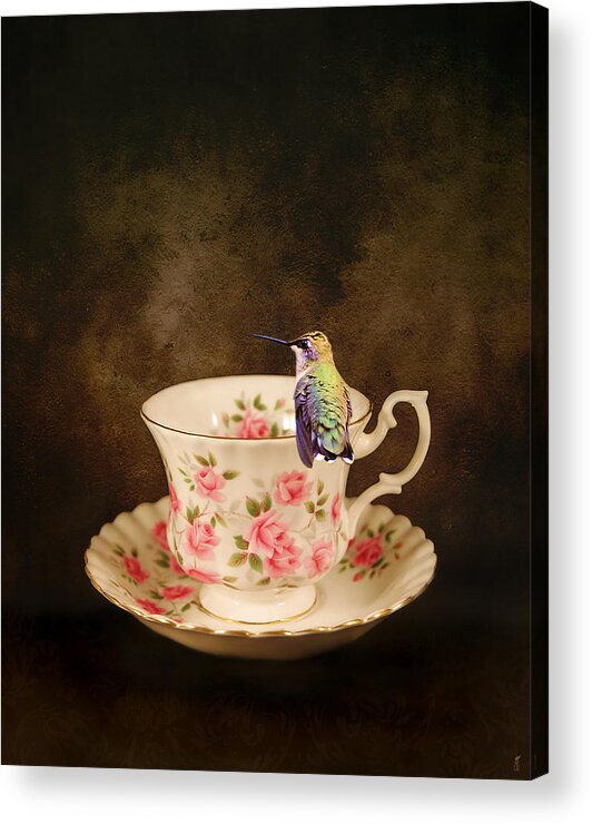 Hummingbird Acrylic Print featuring the photograph Tea Time With a Hummingbird by Jai Johnson