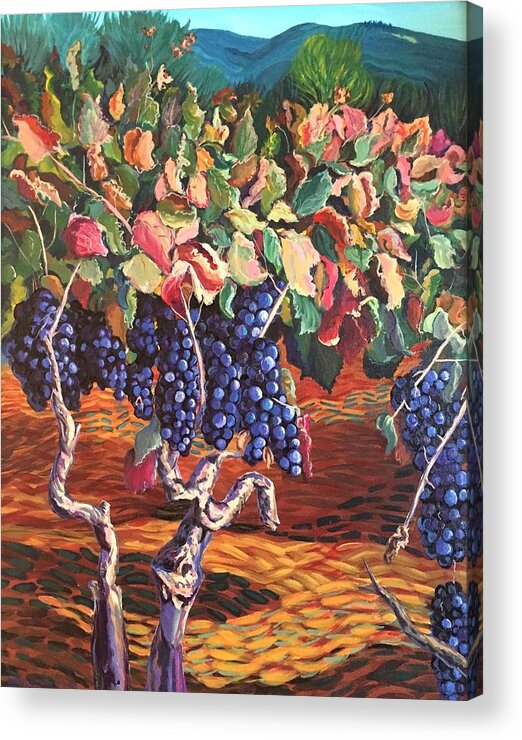 Grape Acrylic Print featuring the painting Zinfandel Grape Zanies by Celeste Drewien