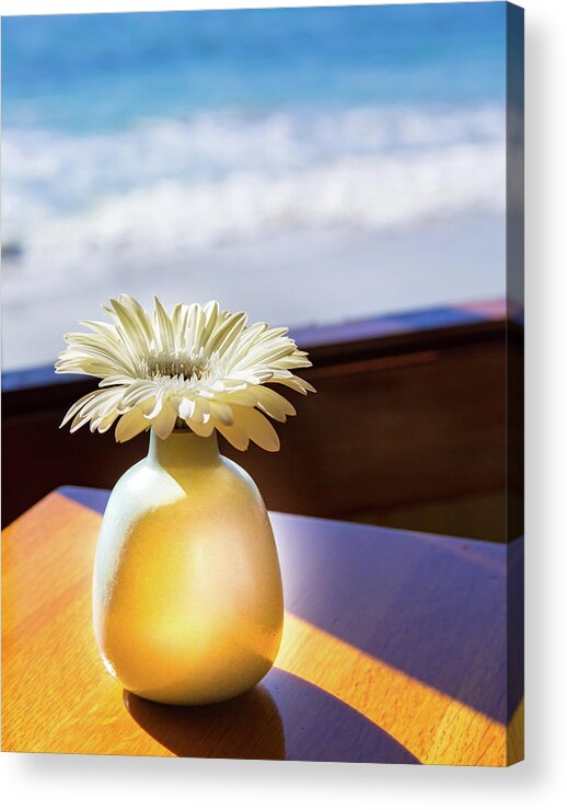Flower Photography Acrylic Print featuring the photograph The Flower Song by Terry Walsh