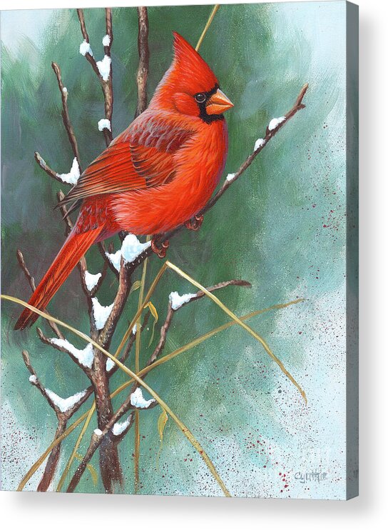 Cynthie Fisher Acrylic Print featuring the painting Cardinal by Cynthie Fisher