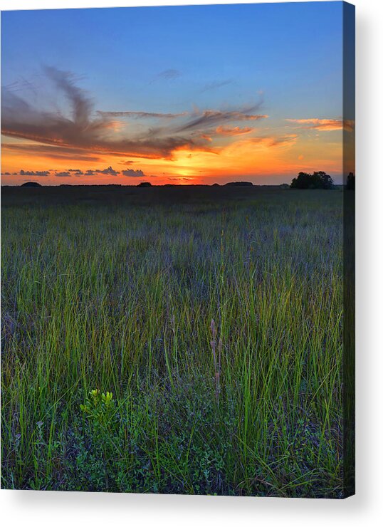 Sunset Acrylic Print featuring the photograph Everglades Sunset by Stephen Vecchiotti