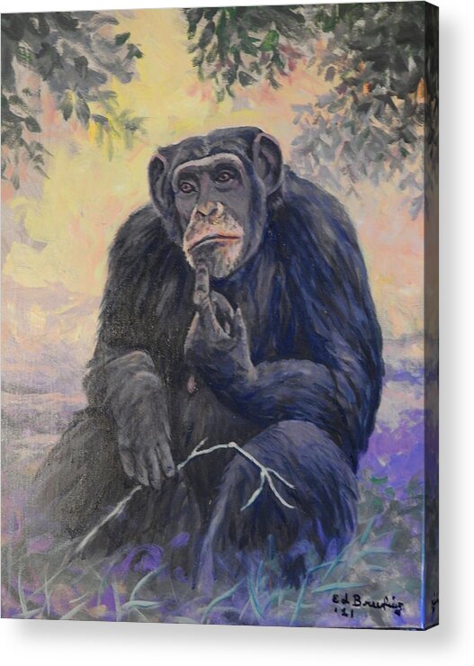 Animal Acrylic Print featuring the painting Thinking Chimp by Ed Breeding