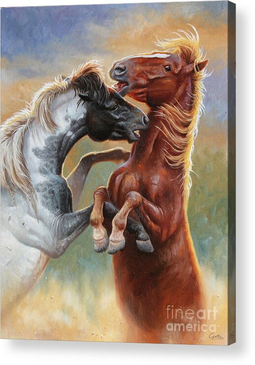 Cynthie Fisher Acrylic Print featuring the painting Young Studs, Horses by Cynthie Fisher