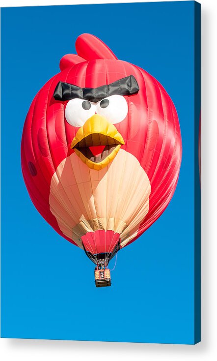 Balloons Acrylic Print featuring the photograph Albuquerque Balloon Fiesta 11 by Lou Novick
