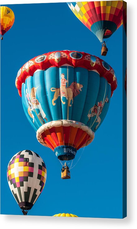 Balloons Acrylic Print featuring the photograph Albuquerque Balloon Fiesta 5 by Lou Novick