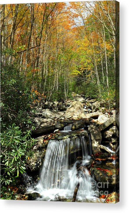 North Carolina Acrylic Print featuring the photograph Autumn Falls by Benanne Stiens