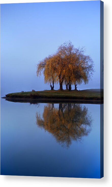 Landscape Acrylic Print featuring the photograph Blue Divine by Roman Solar