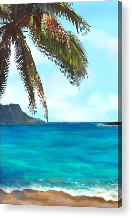 Chinaman's Hat Acrylic Print featuring the painting Chinaman's Hat Panel two of Four by Stephen Jorgensen