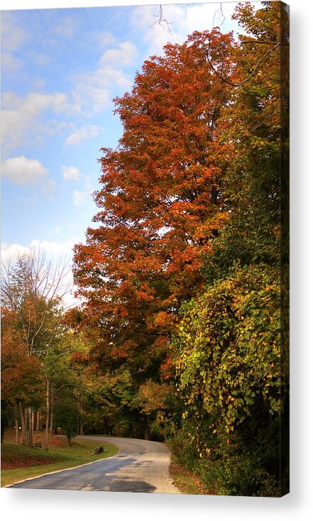 Fall Acrylic Print featuring the photograph Fall Foliage1 by Deborah Ritch