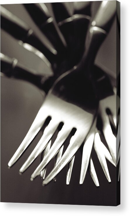 Forks Acrylic Print featuring the photograph Forks by Matthew Pace