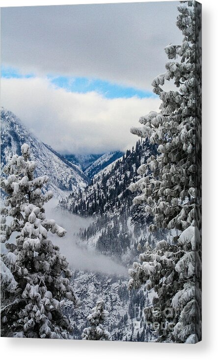 Icicle Acrylic Print featuring the photograph Icicle Creek by SnapHound Photography