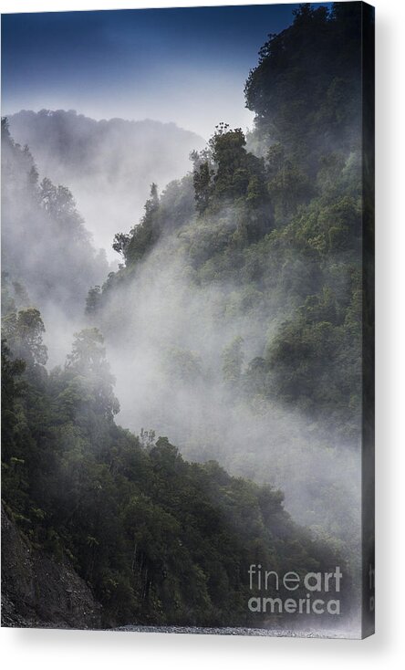 Misty Acrylic Print featuring the photograph Mist in trees at Franz Josef glacier by Sheila Smart Fine Art Photography