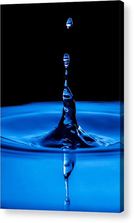 Drop Acrylic Print featuring the photograph Reaching Out by Wild Fotos