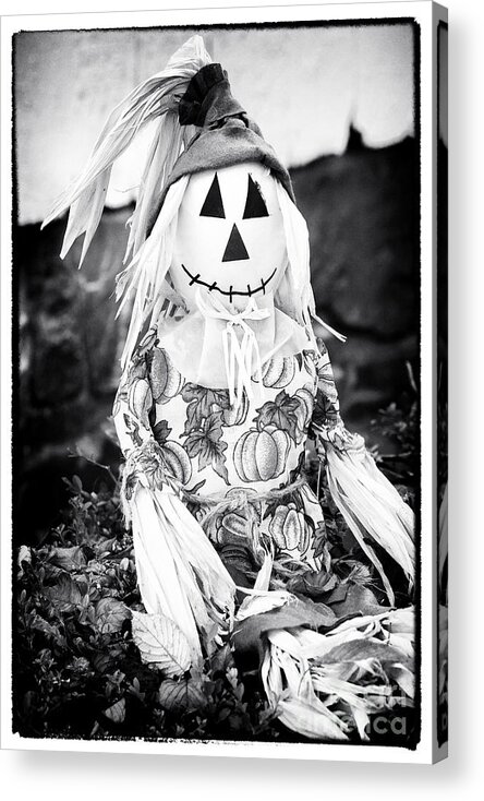 Scarecrow Acrylic Print featuring the photograph Scarecrow by John Rizzuto