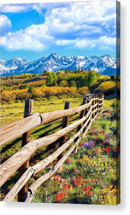 Spring Flowers Acrylic Print featuring the photograph Springtime in the Rockies by Rick Wicker