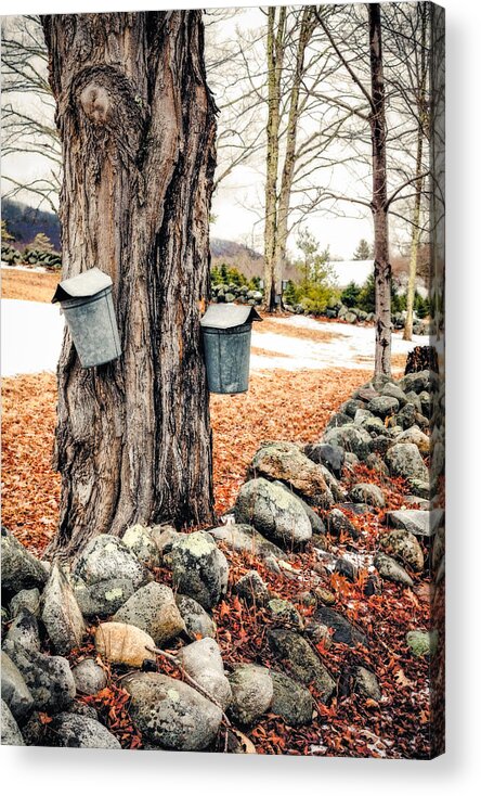 New Hampshire Acrylic Print featuring the photograph Sugaring by Robert Clifford