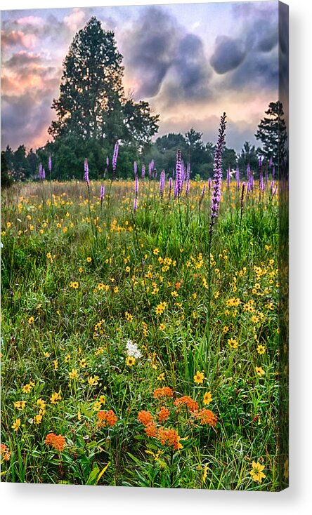 Blue Ridge Parkway Acrylic Print featuring the photograph The Beauty of the Blue Ridge Parkway by Dan Carmichael