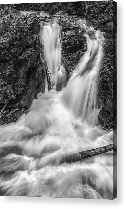 Art Acrylic Print featuring the photograph Two into One by Jon Glaser