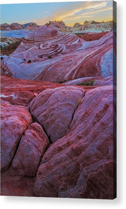 Red Rocks Acrylic Print featuring the photograph Valley of Fire at Sunset by Bryan Bzdula