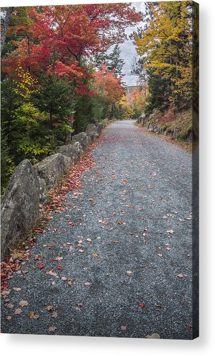 Maine Acrylic Print featuring the photograph Walk Along by Jon Glaser