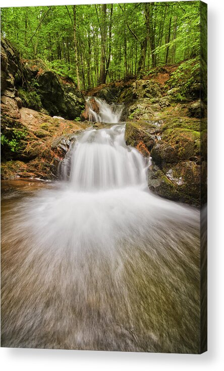 Brook Walk Acrylic Print featuring the photograph Whittier Falls by Robert Clifford