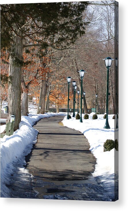 Park Acrylic Print featuring the photograph Winter Stroll by Margie Avellino