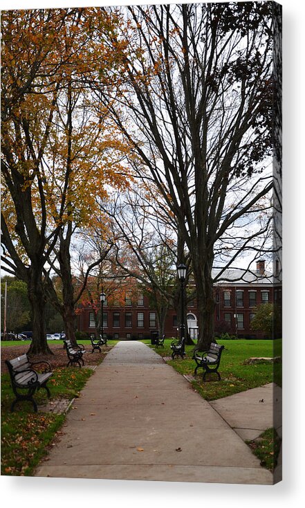 Boston Acrylic Print featuring the photograph Bridgewater State University by Amanda Vouglas