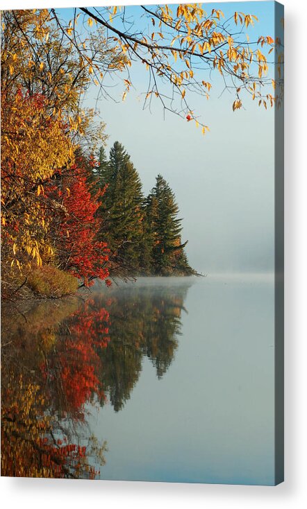 Adirondack Mts. Acrylic Print featuring the photograph Fall colors on Low's Lake by Peter DeFina