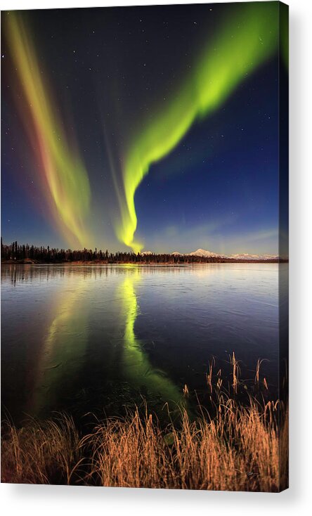 Alaska Acrylic Print featuring the photograph Aurora Glide by Ed Boudreau