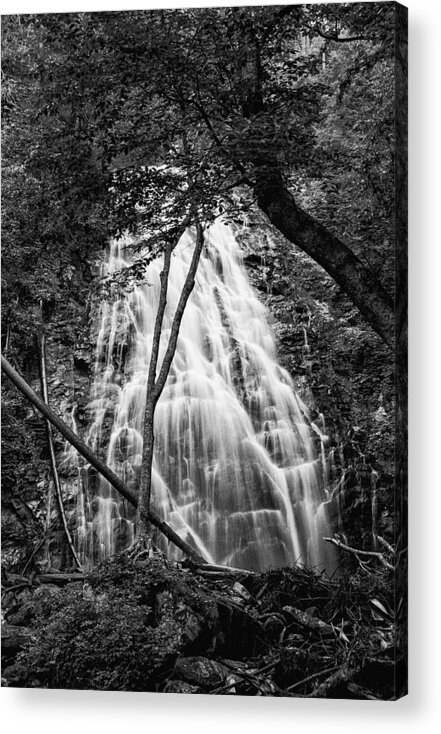 Landscape Acrylic Print featuring the photograph Behind The Tree-bw by Joye Ardyn Durham