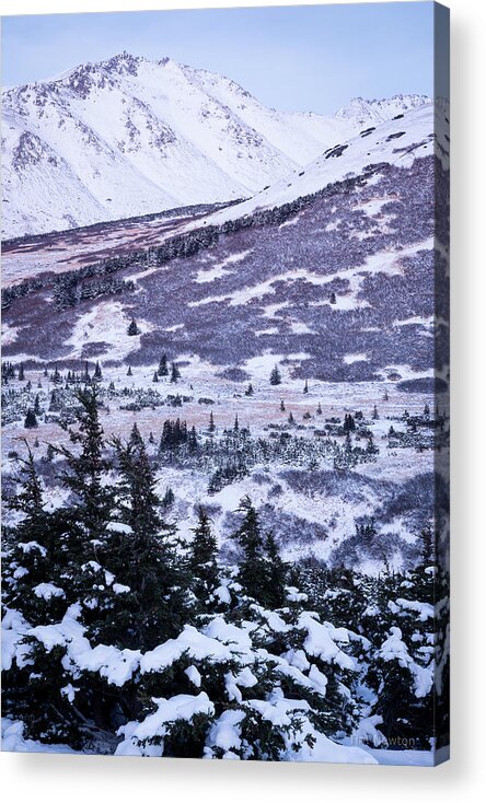 Chugach Acrylic Print featuring the photograph Chugach in Alpenglow by Tim Newton