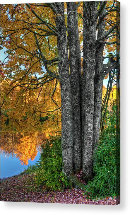 Fall Colors Acrylic Print featuring the photograph Fall Colors Reflecting in a Blue Ridge Lake by Dan Carmichael