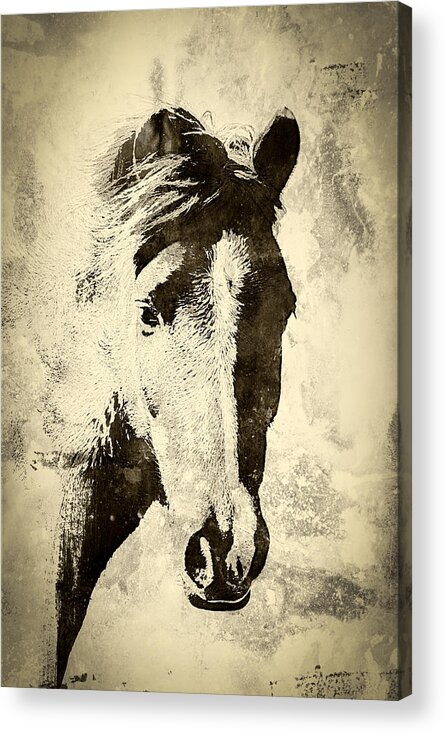 Farm Acrylic Print featuring the photograph Friend by Joye Ardyn Durham