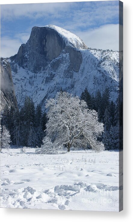 Half Dome Acrylic Print featuring the photograph Half Dome in Winter by Christine Jepsen