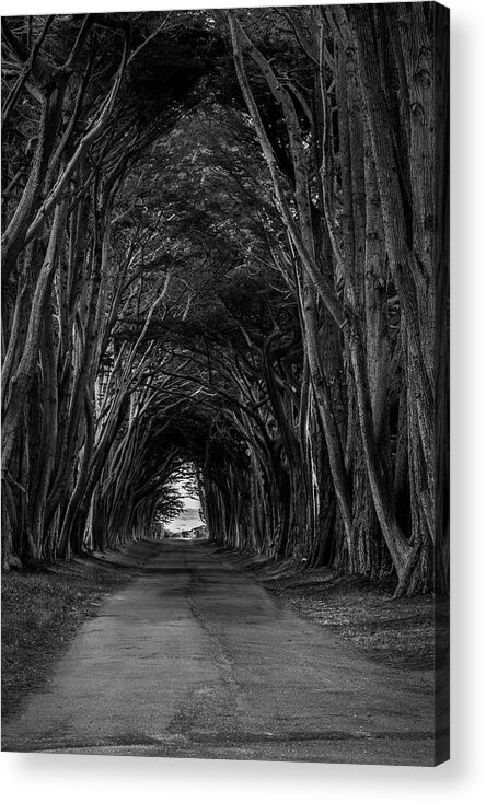 Art Acrylic Print featuring the photograph Haunting II by Jon Glaser