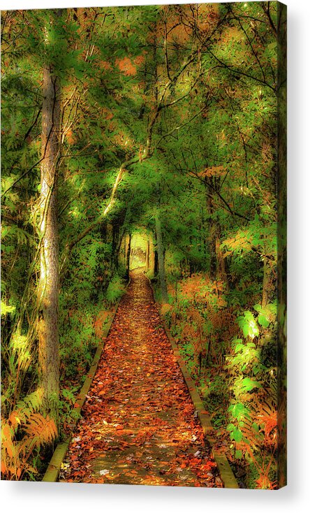 Autumn Acrylic Print featuring the digital art Hiking in Paradise - West Virginia AP by Dan Carmichael
