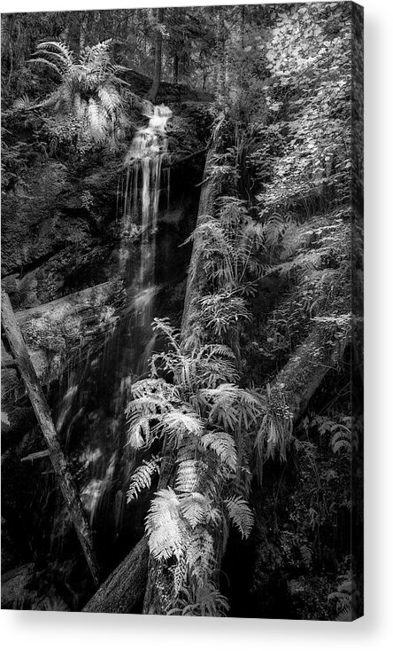 Art Acrylic Print featuring the photograph Limited and Restricted by Jon Glaser