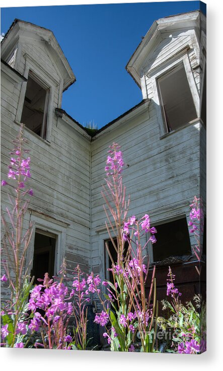 Old Acrylic Print featuring the photograph Old House by Idaho Scenic Images Linda Lantzy