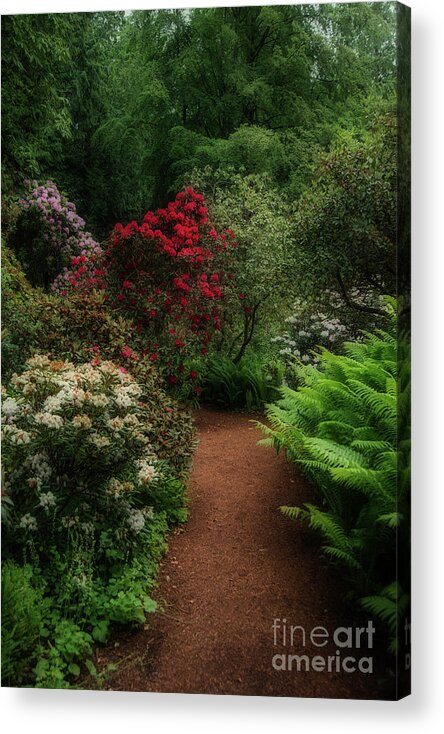 Garden Acrylic Print featuring the photograph Pathway to Heaven by Jim Hatch