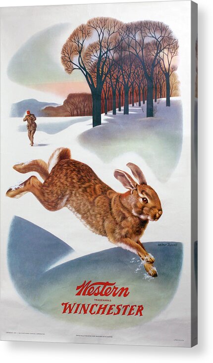 Outdoor Acrylic Print featuring the painting Winchester-Western Rabbit Hunting by Weimer Pursell
