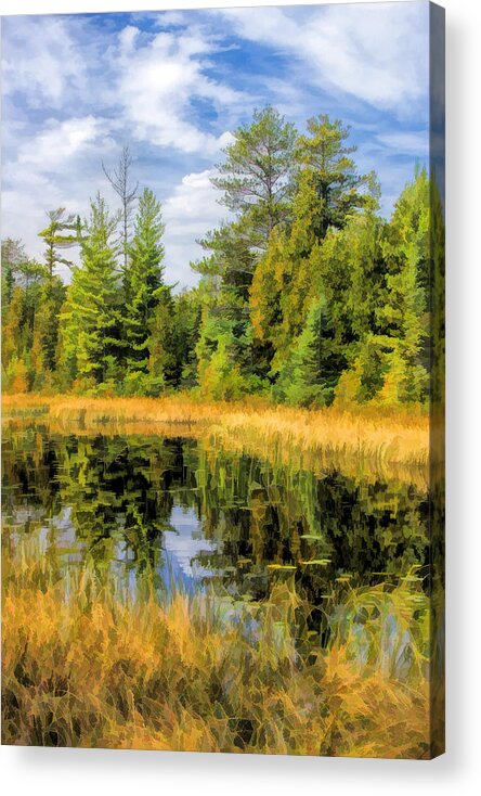 Door County Acrylic Print featuring the painting Ridges Sanctuary Reflections by Christopher Arndt
