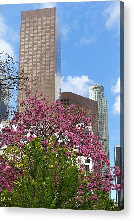 Spring In La Acrylic Print featuring the photograph Spring in L A by Lutz Baar