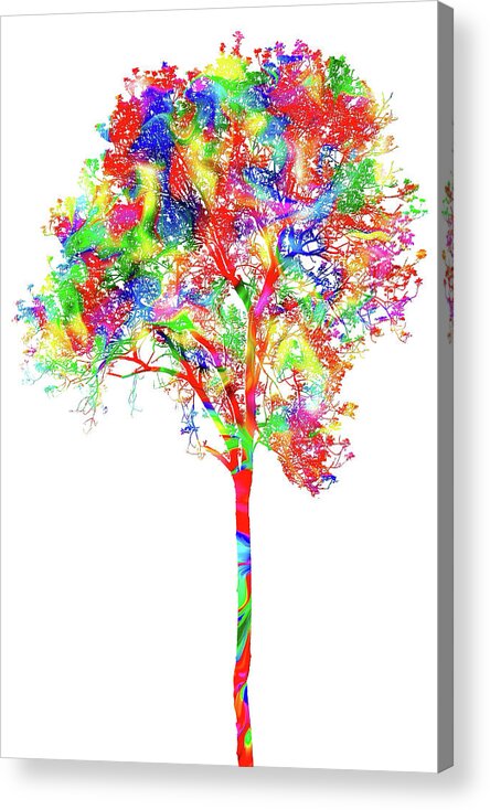 North Carolina Acrylic Print featuring the digital art Tree of Many Colors AP by Dan Carmichael