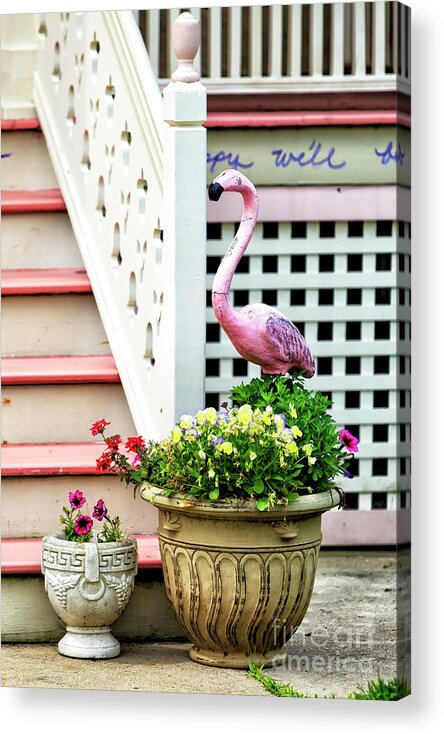 Pink Flamingo At That The Shore House Acrylic Print featuring the photograph Pink Flamingo at the Shore House in Ocean Grove New Jersey by John Rizzuto